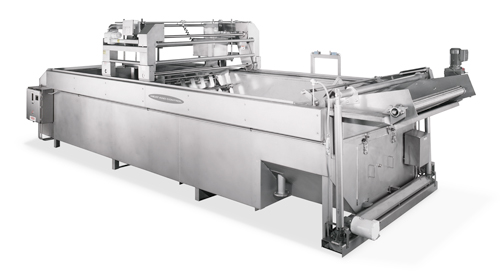 batch fryer 2